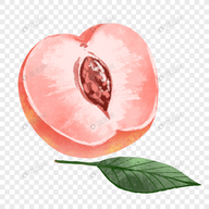 高清乱码?❌♋破解版APP应用