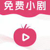 猫先生影视app免费版